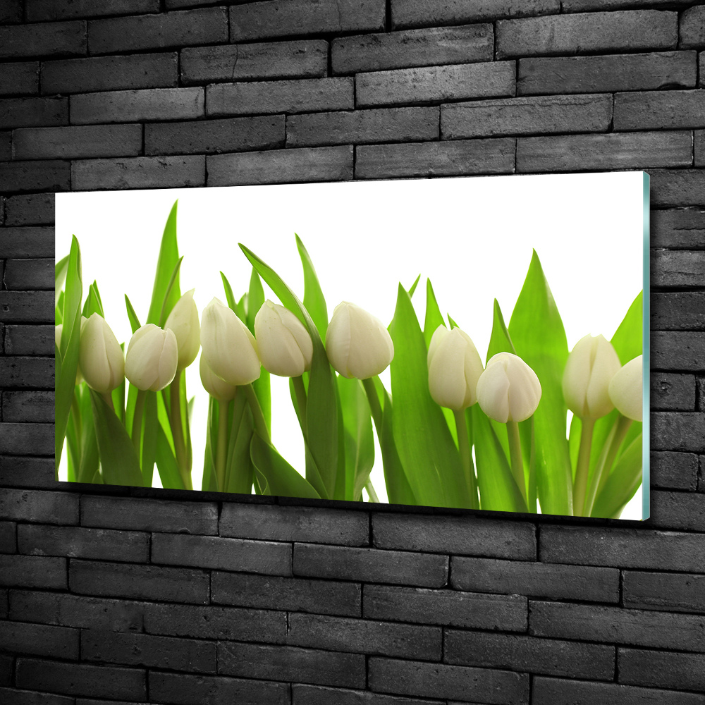 Tableau en verre Tulipes blanches