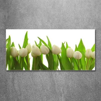 Tableau en verre Tulipes blanches