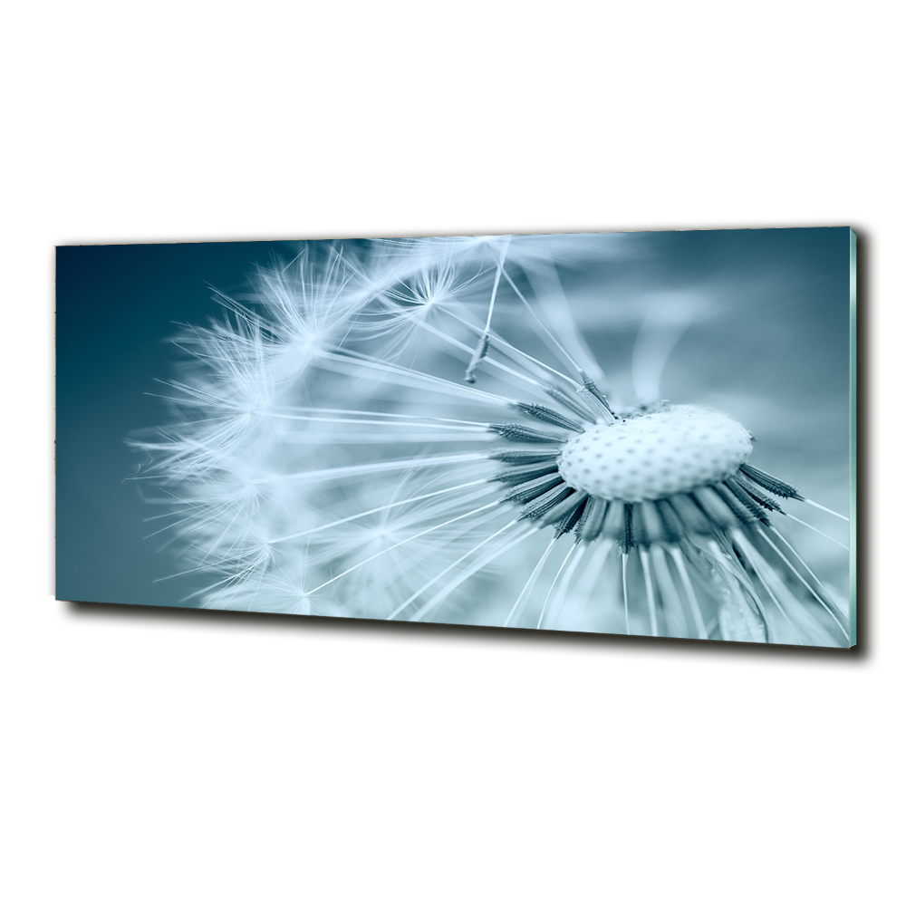 Tableau photo sur verre Gonflables