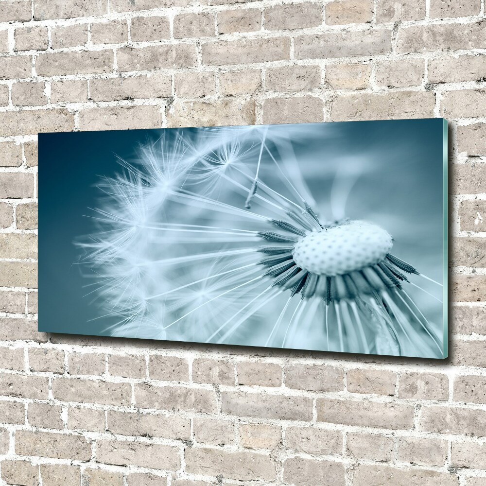 Tableau photo sur verre Gonflables