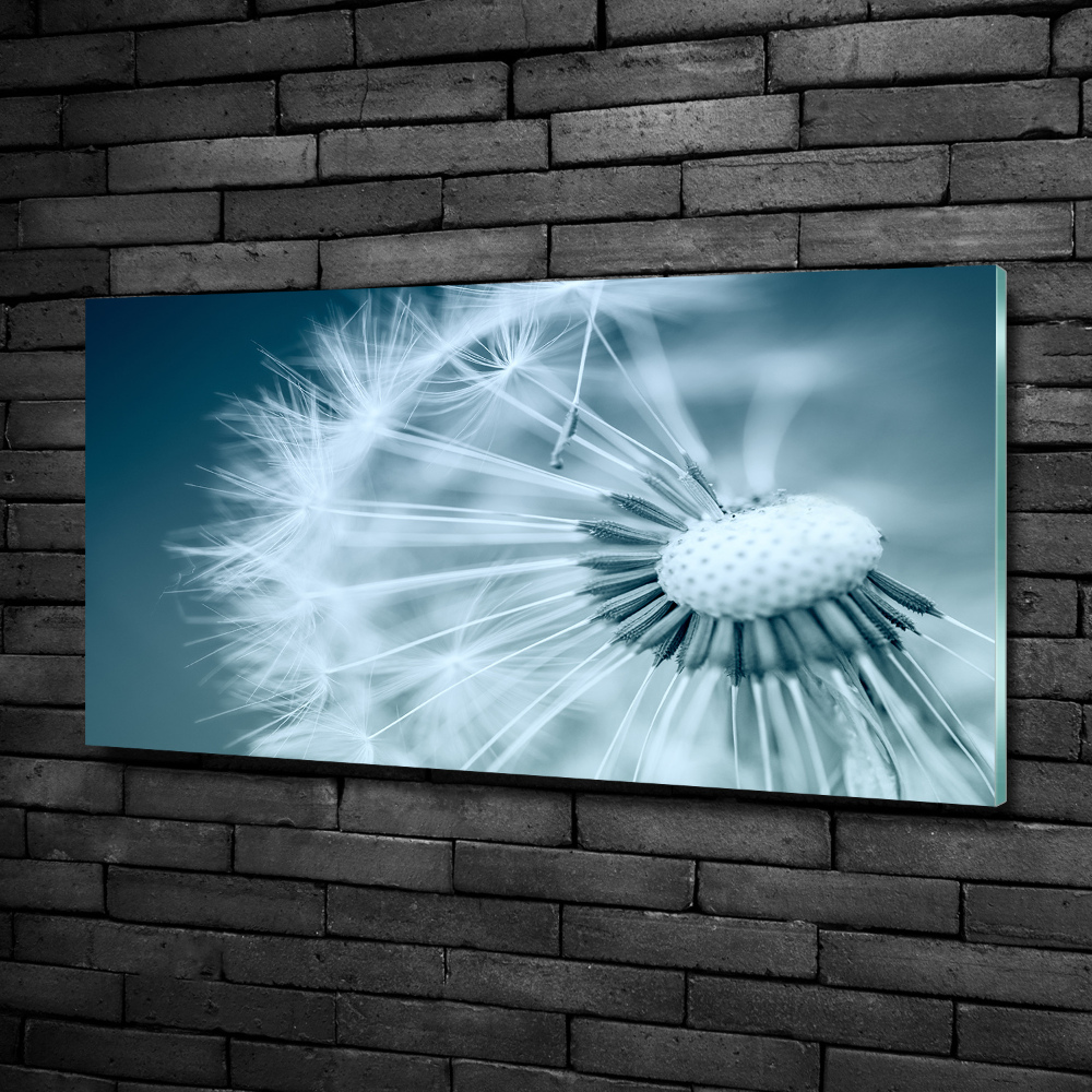 Tableau photo sur verre Gonflables