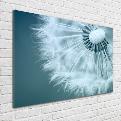 Tableau photo sur verre Gonflables