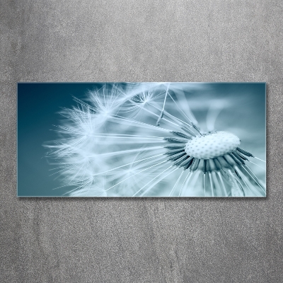 Tableau photo sur verre Gonflables