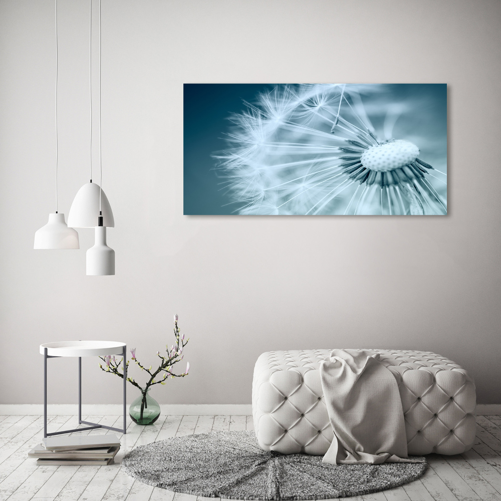 Tableau photo sur verre Gonflables