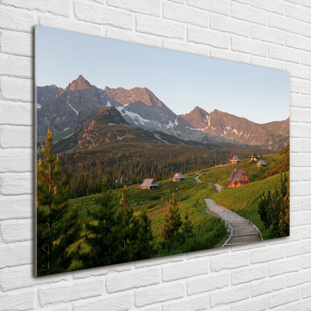 Tableau en verre Clairière dans les Tatras