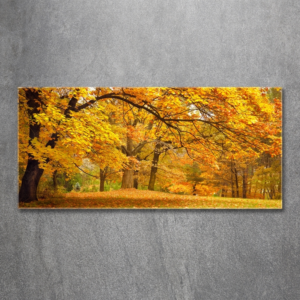 Tableau imprimé sur verre Automne dans le parc