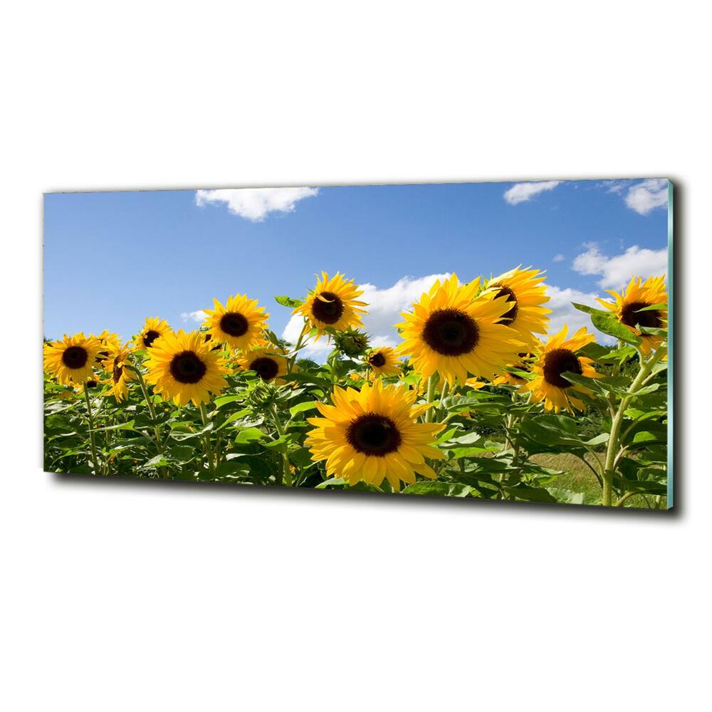 Tableau sur verre Tournesols