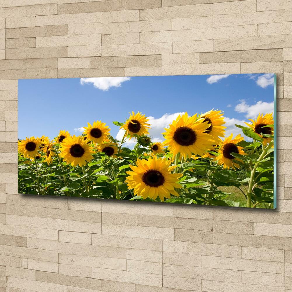 Tableau sur verre Tournesols