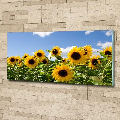 Tableau sur verre Tournesols