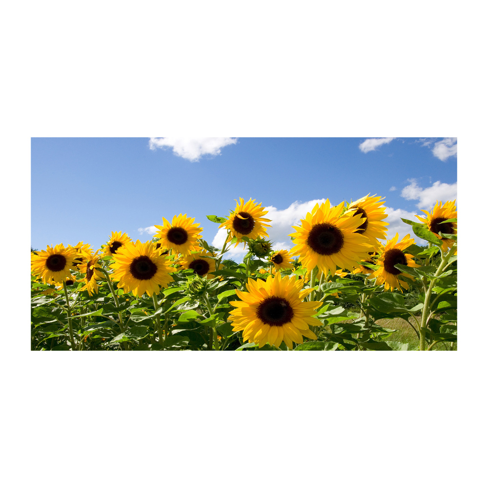 Tableau sur verre Tournesols