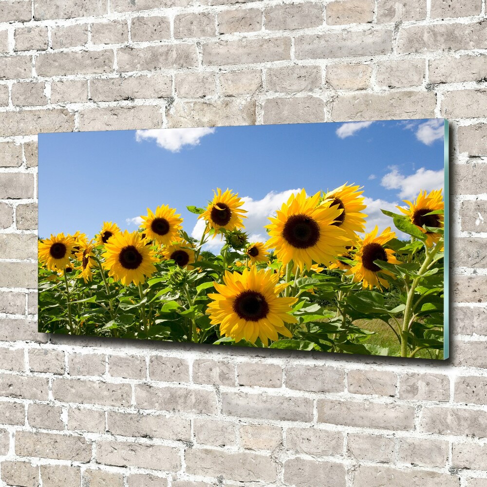 Tableau sur verre Tournesols