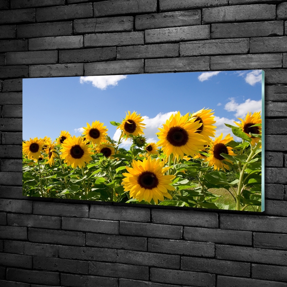 Tableau sur verre Tournesols