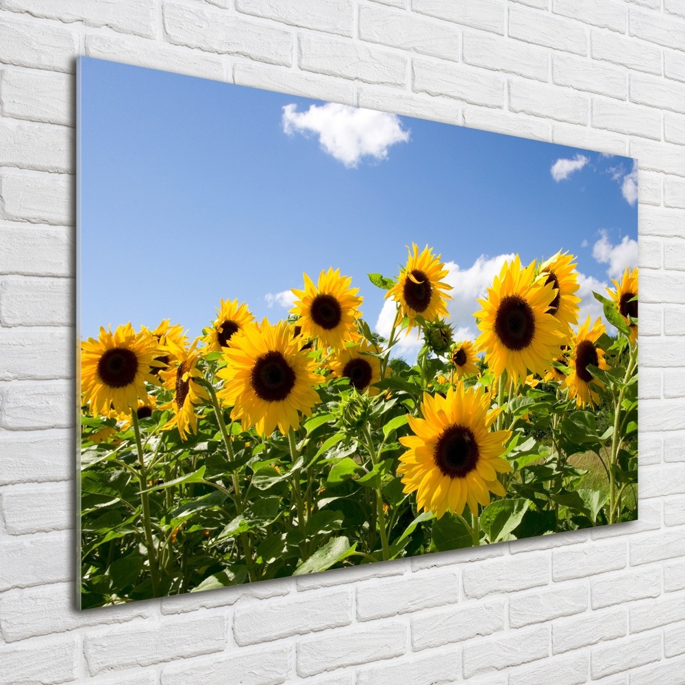 Tableau sur verre Tournesols