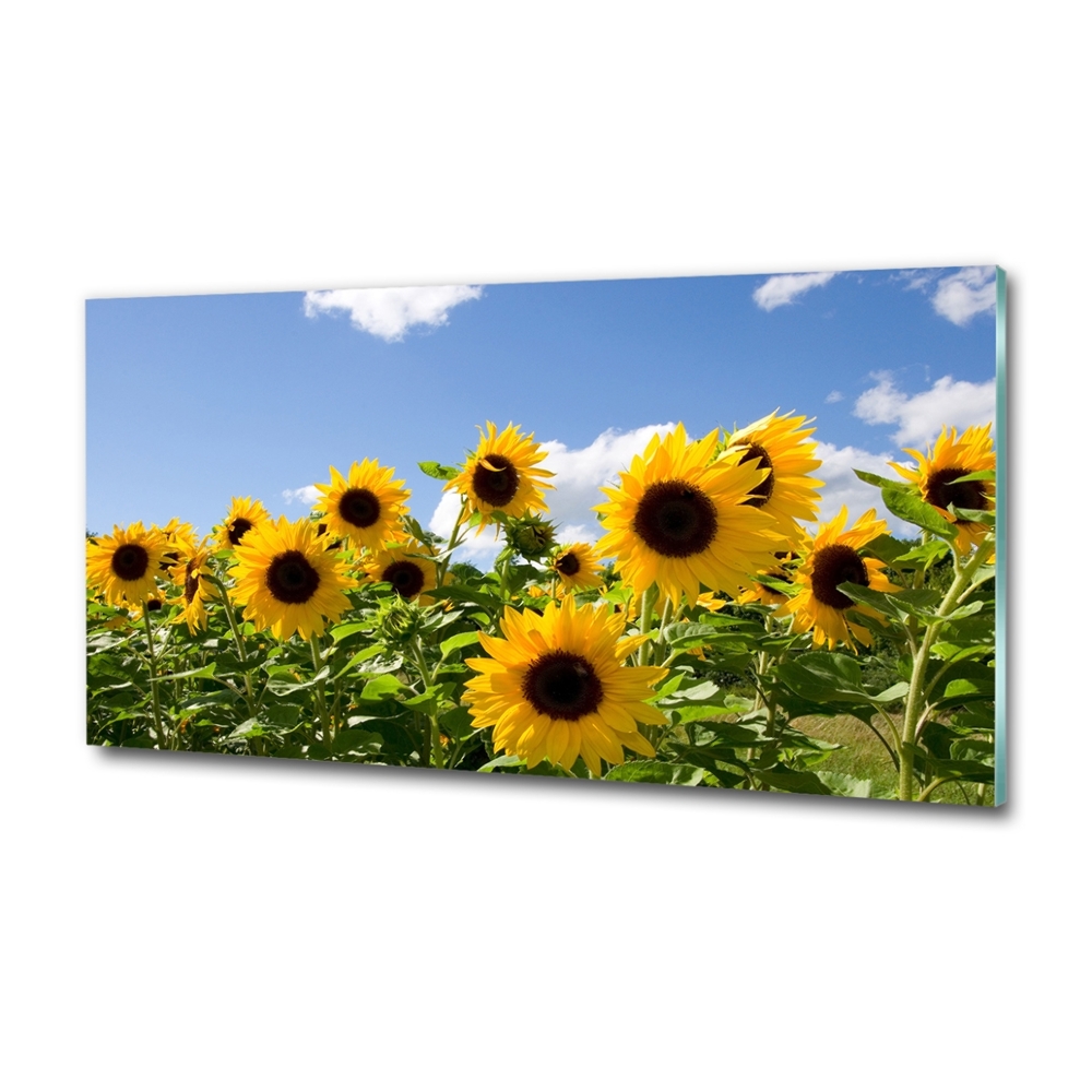 Tableau sur verre Tournesols