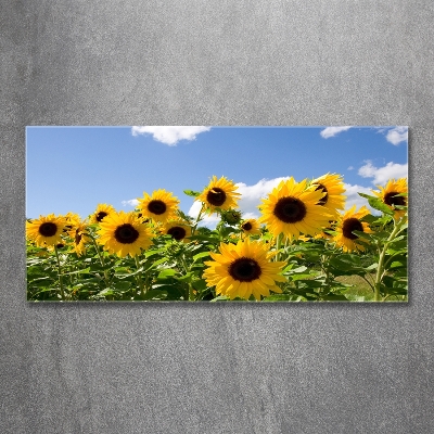 Tableau sur verre Tournesols