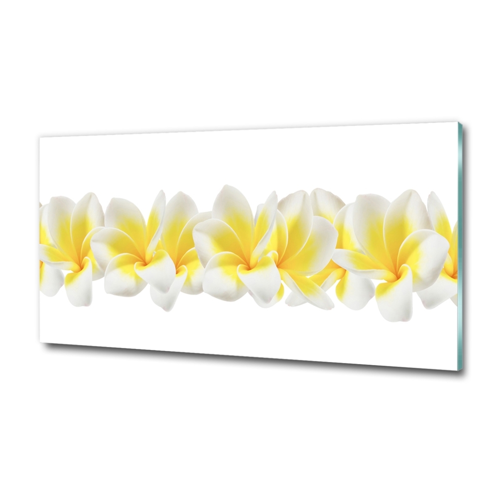 Tableau imprimé sur verre Plumeria