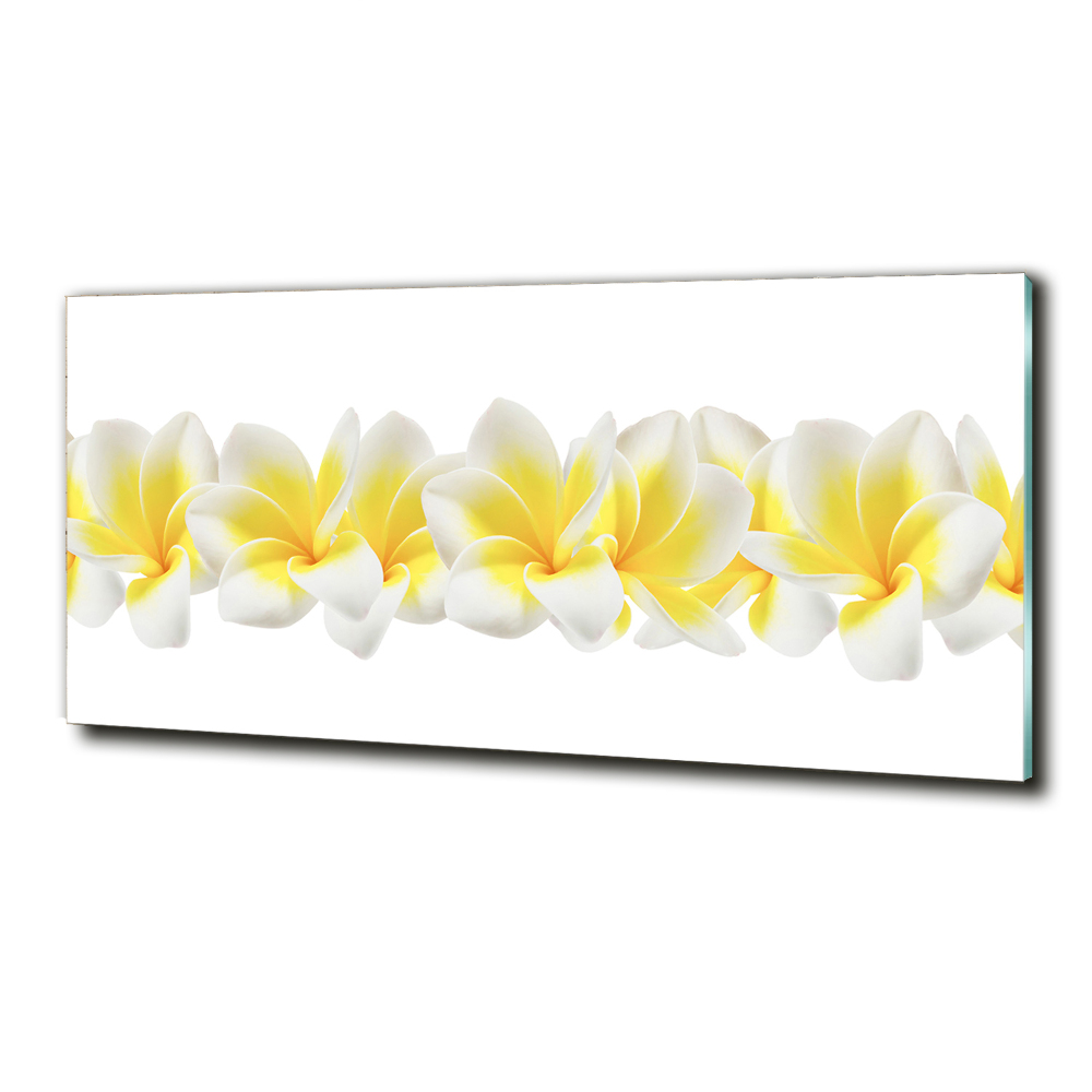 Tableau imprimé sur verre Plumeria