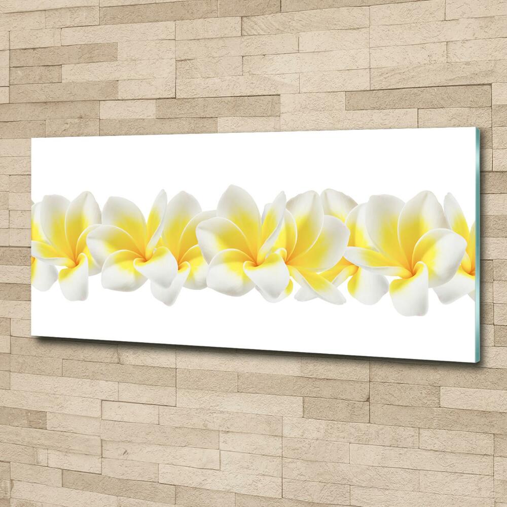 Tableau imprimé sur verre Plumeria