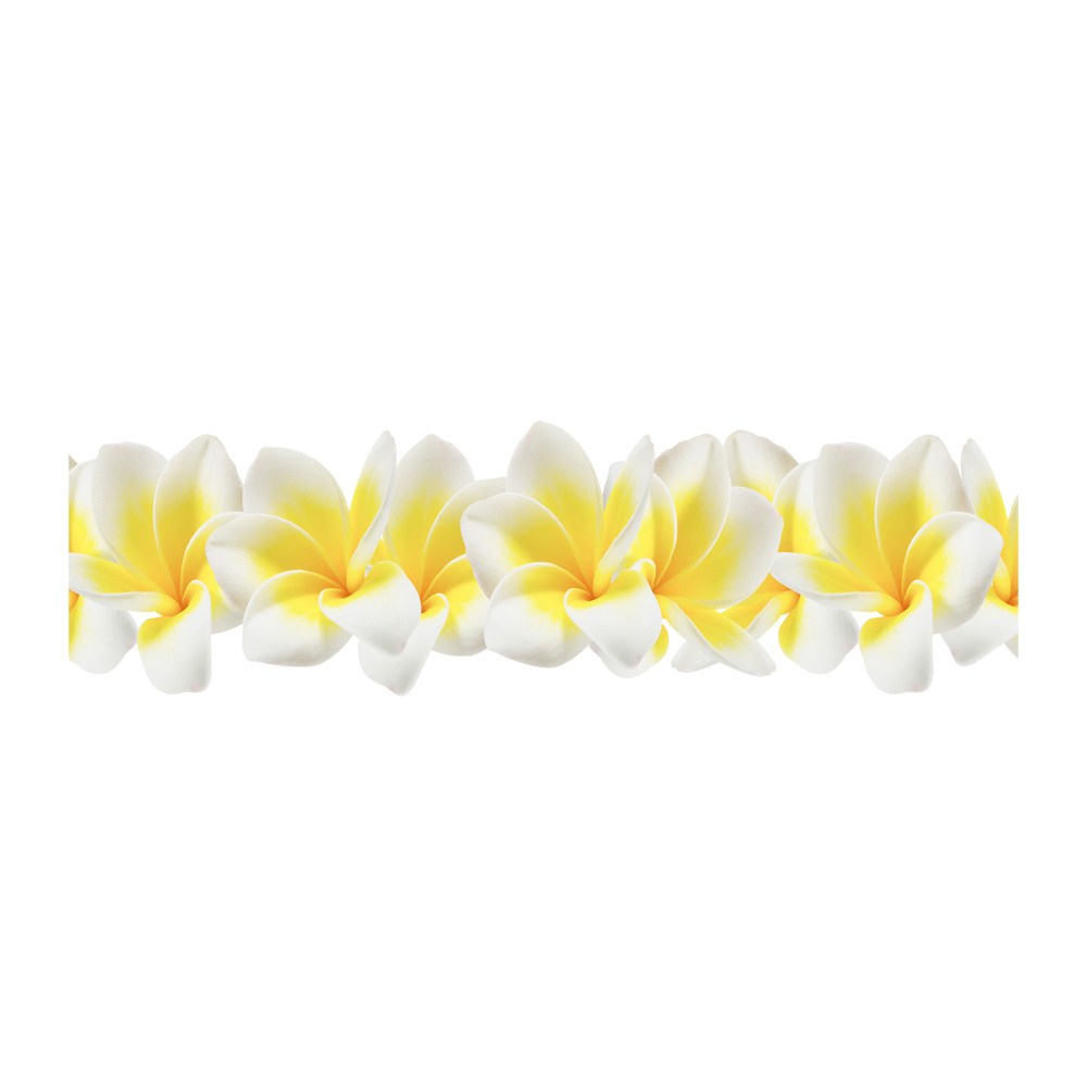 Tableau imprimé sur verre Plumeria