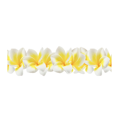 Tableau imprimé sur verre Plumeria