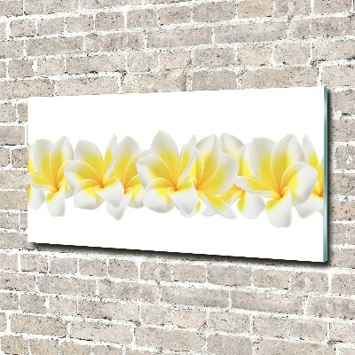 Tableau imprimé sur verre Plumeria