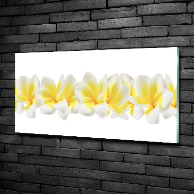 Tableau imprimé sur verre Plumeria