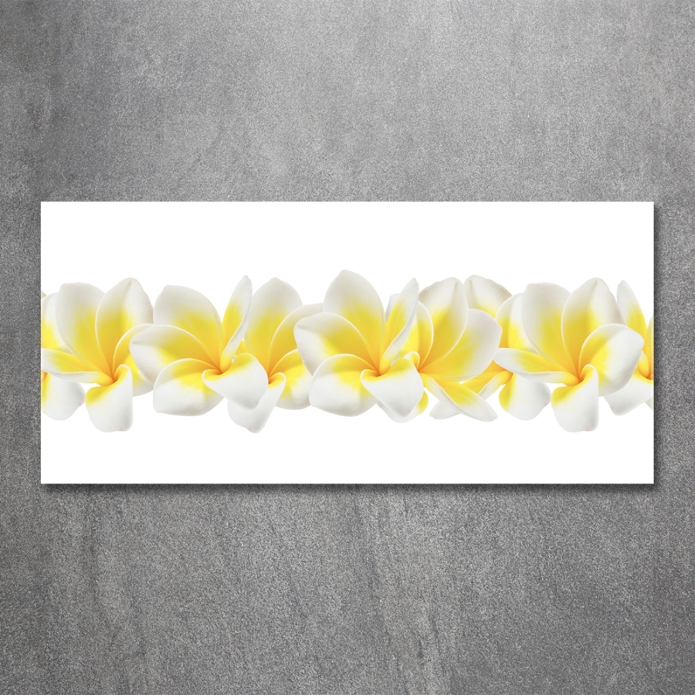 Tableau imprimé sur verre Plumeria