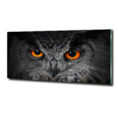 Tableau sur verre Oeil de hibou diabolique