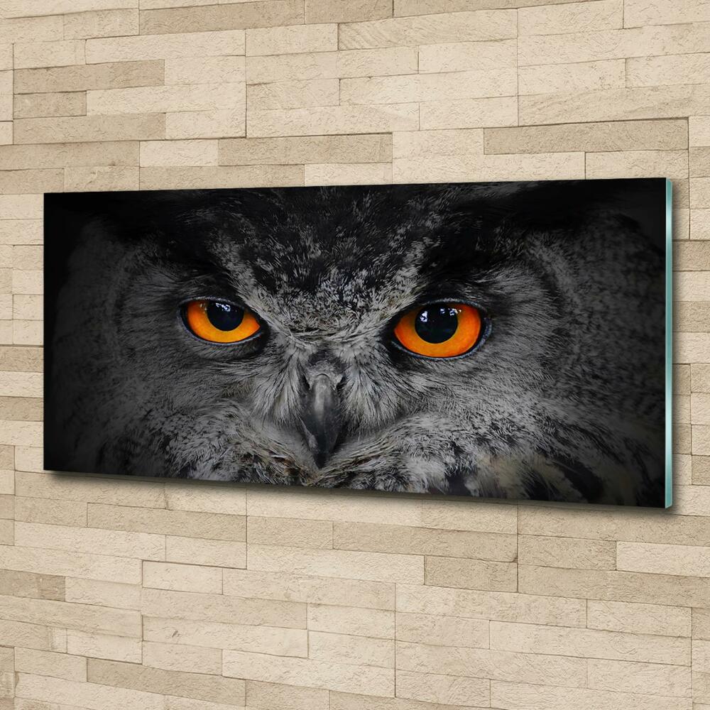 Tableau sur verre Oeil de hibou diabolique