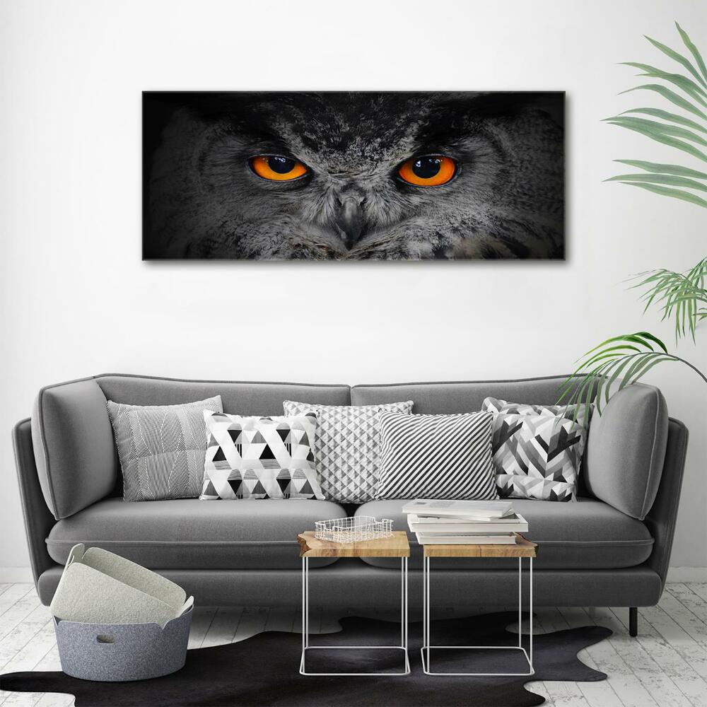 Tableau sur verre Oeil de hibou diabolique