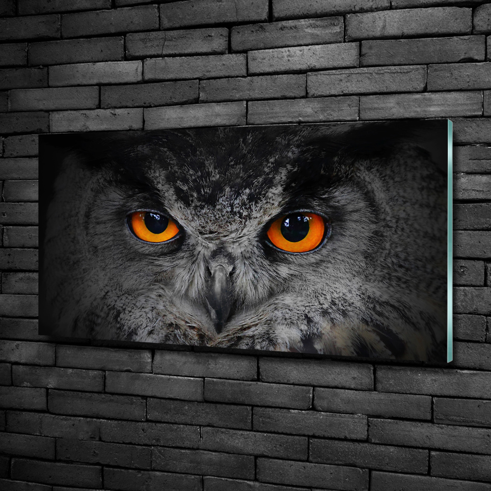 Tableau sur verre Oeil de hibou diabolique