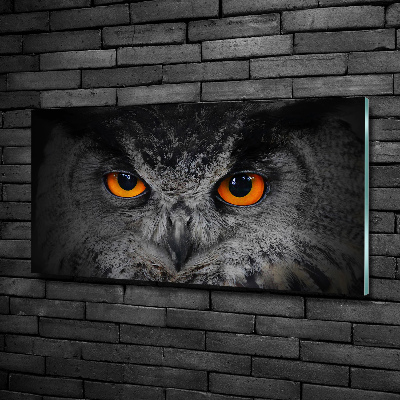 Tableau sur verre Oeil de hibou diabolique