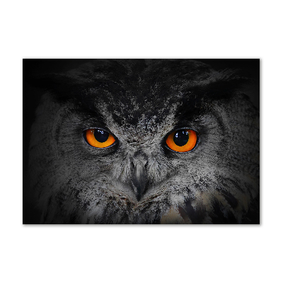 Tableau sur verre Oeil de hibou diabolique