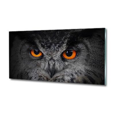 Tableau sur verre Oeil de hibou diabolique