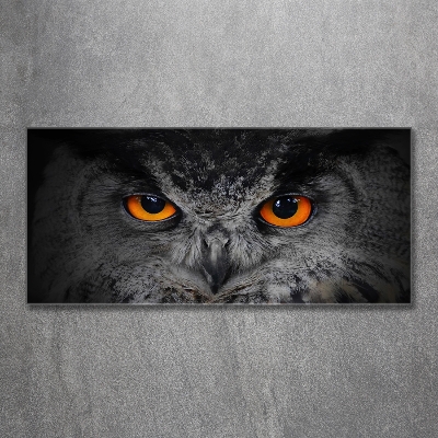 Tableau sur verre Oeil de hibou diabolique