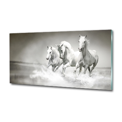 Tableau imprimé sur verre Chevaux blancs