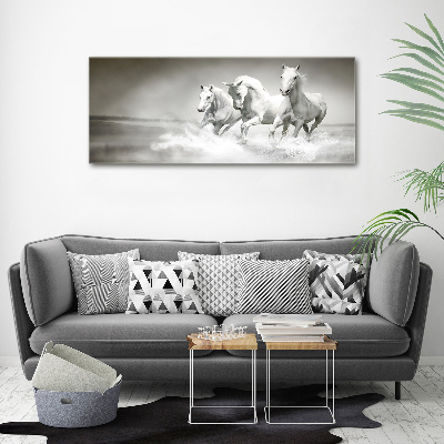 Tableau imprimé sur verre Chevaux blancs