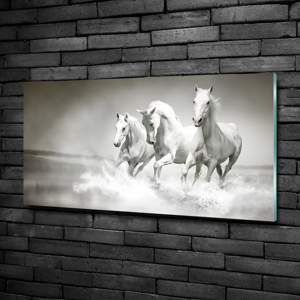 Tableau imprimé sur verre Chevaux blancs