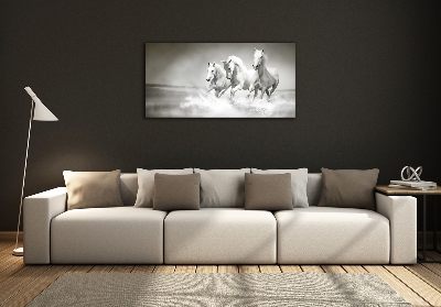 Tableau imprimé sur verre Chevaux blancs