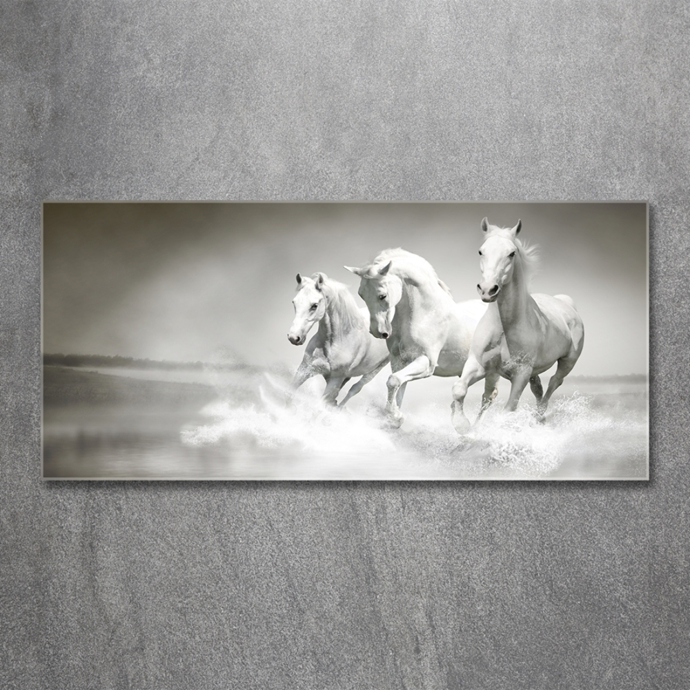 Tableau imprimé sur verre Chevaux blancs