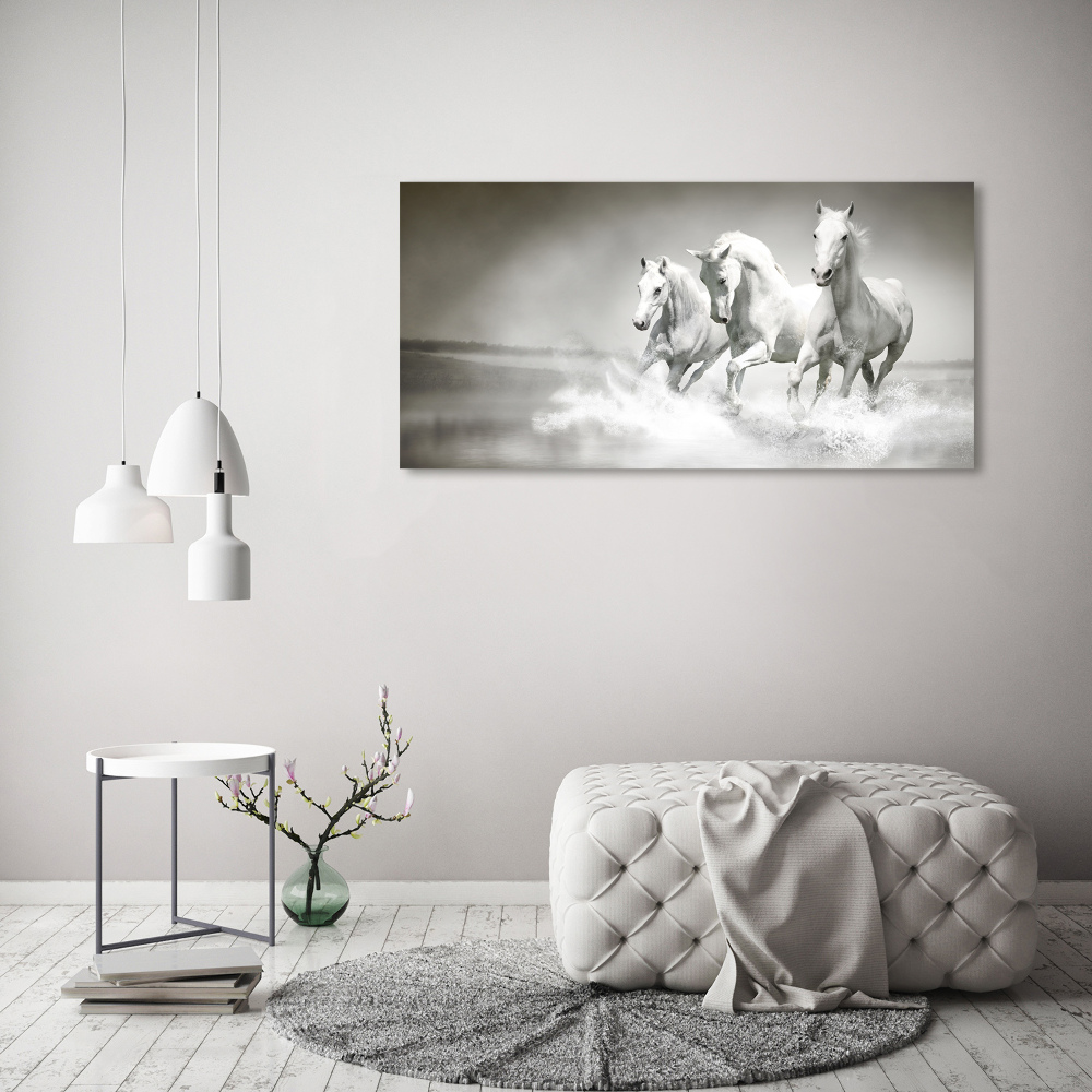 Tableau imprimé sur verre Chevaux blancs