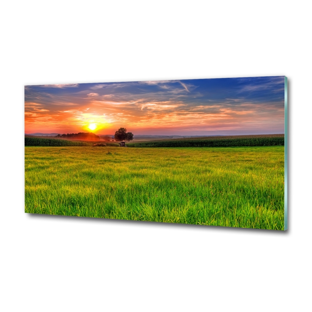 Tableau photo sur verre Coucher de soleil sur la prairie