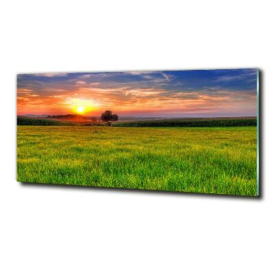 Tableau photo sur verre Coucher de soleil sur la prairie