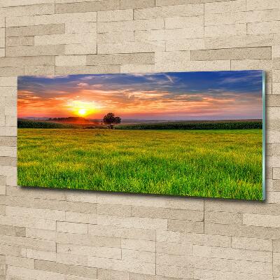 Tableau photo sur verre Coucher de soleil sur la prairie