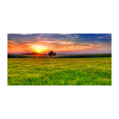 Tableau photo sur verre Coucher de soleil sur la prairie