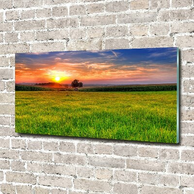 Tableau photo sur verre Coucher de soleil sur la prairie