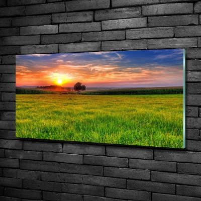 Tableau photo sur verre Coucher de soleil sur la prairie