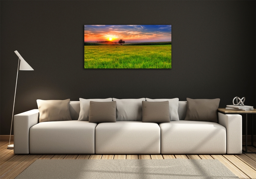 Tableau photo sur verre Coucher de soleil sur la prairie