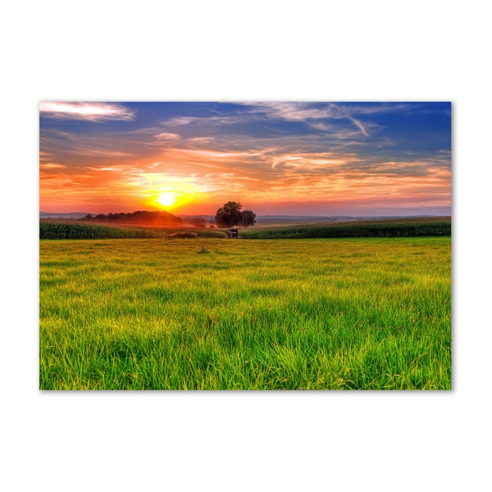 Tableau photo sur verre Coucher de soleil sur la prairie