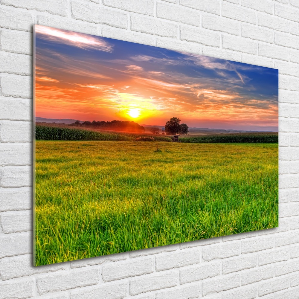 Tableau photo sur verre Coucher de soleil sur la prairie